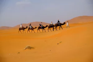 People riding camels in Merzouga desert