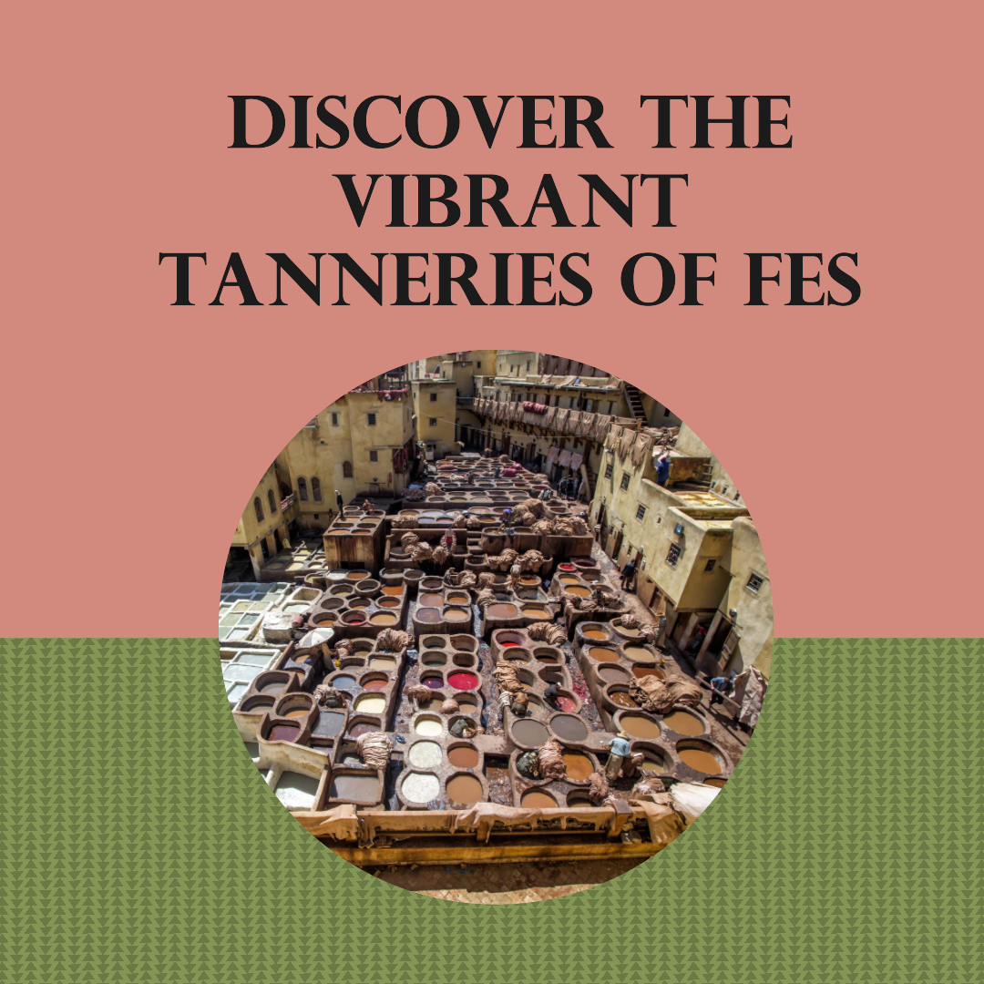 Discover the vibrant tanneries of Fes