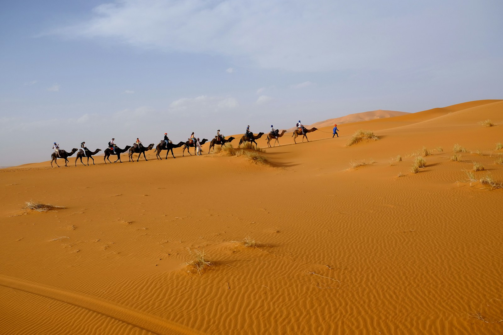 person riding on camel - 5 days from Fes to Marrakech